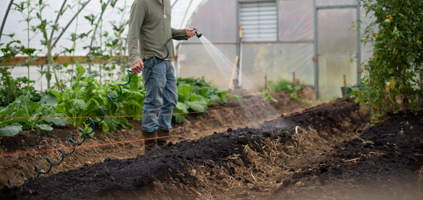 3 Methods for Heating Greenhouses for Free – Mother Earth News - Vimarsana News